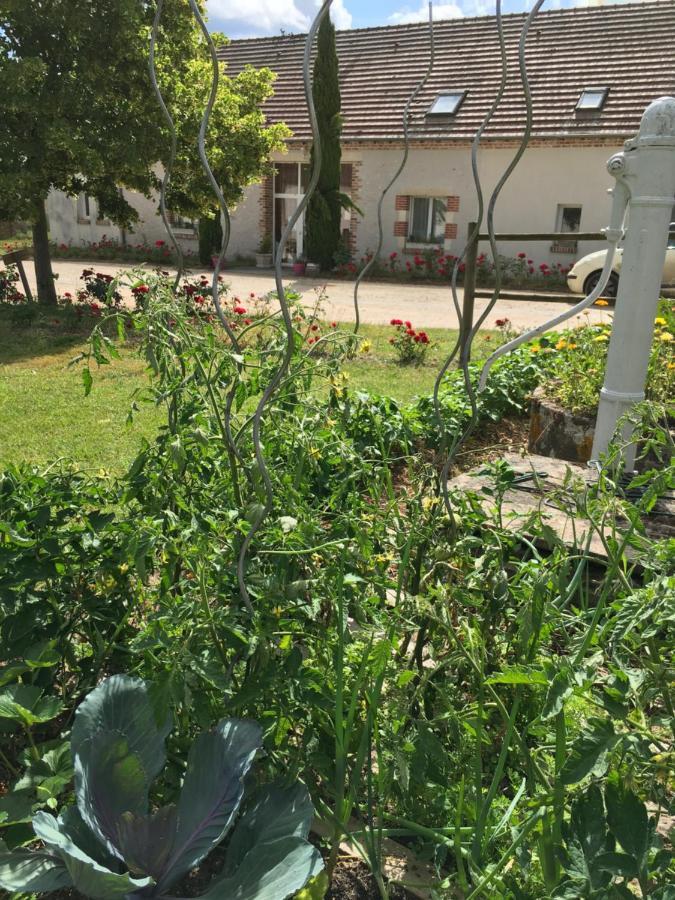 مبيت وإفطار Thoury La Ferme De La Maugerie المظهر الخارجي الصورة
