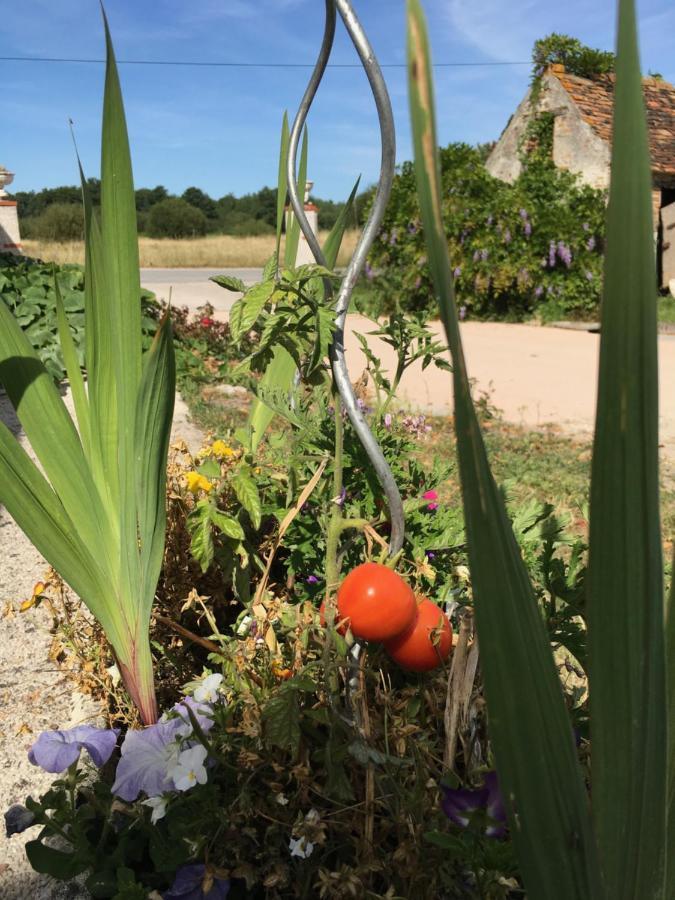 مبيت وإفطار Thoury La Ferme De La Maugerie المظهر الخارجي الصورة